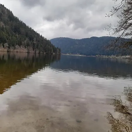 Vacances Xonrupt-Gerardmer Exterior photo