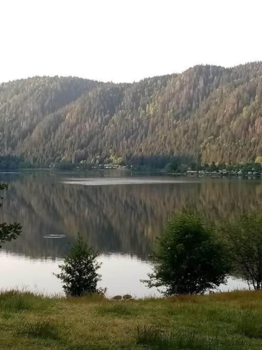 Xonrupt-gerardmer * Xonrupt-Longemer