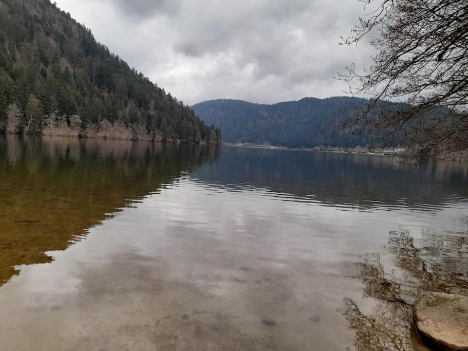 Apartment Xonrupt-gerardmer Xonrupt-Longemer